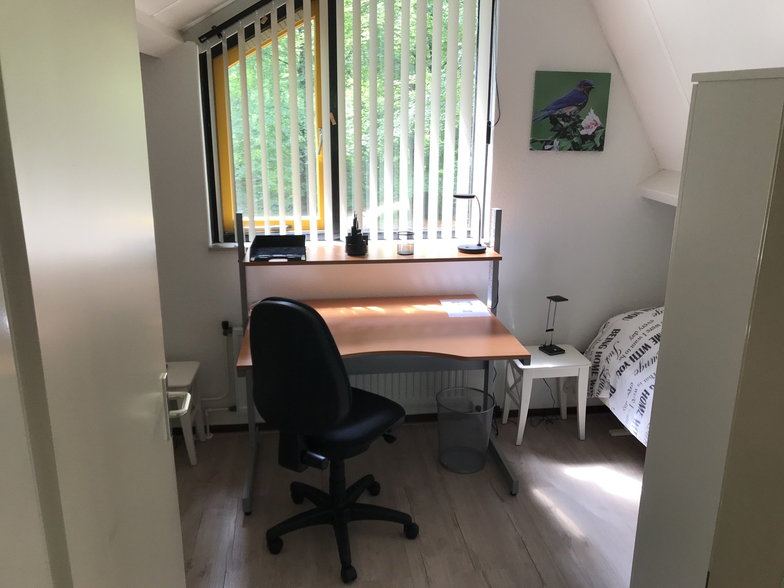 De Goudvink op Hoogwolde in Nunspeet – foto 17 van het vakantiehuis